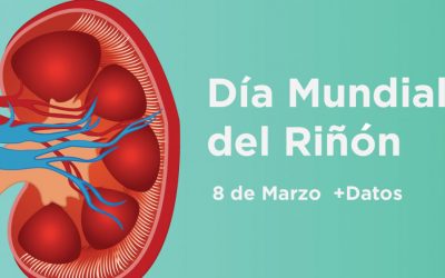 Las reglas de oro para el cuidado de tus riñones