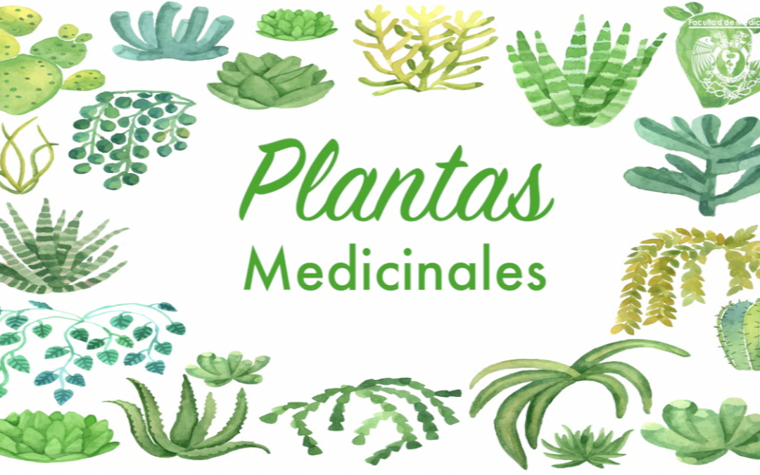 Plantas Medicinales