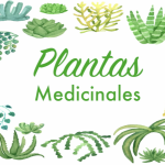 Plantas Medicinales