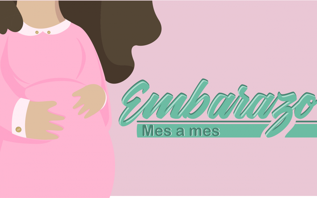 Embarazo mes a mes