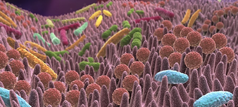 ¿Qué es la microbiota?