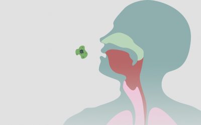 ¿Cómo se forma una flema?