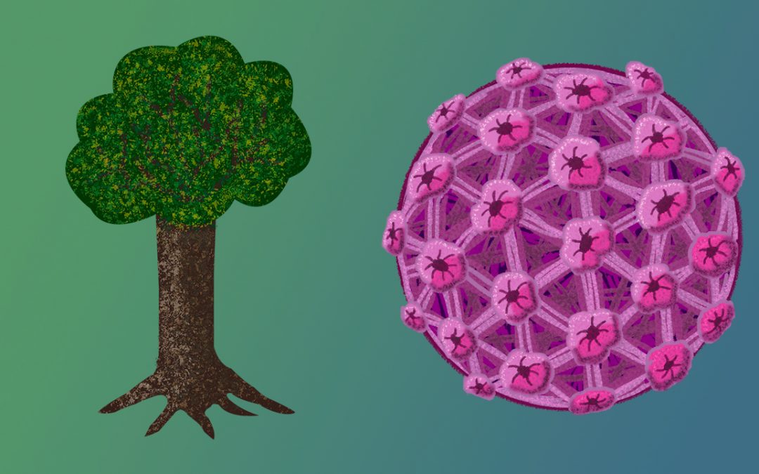 ¿Sindrome del Hombre Árbol?