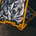 Consumo de Pescados y Mariscos