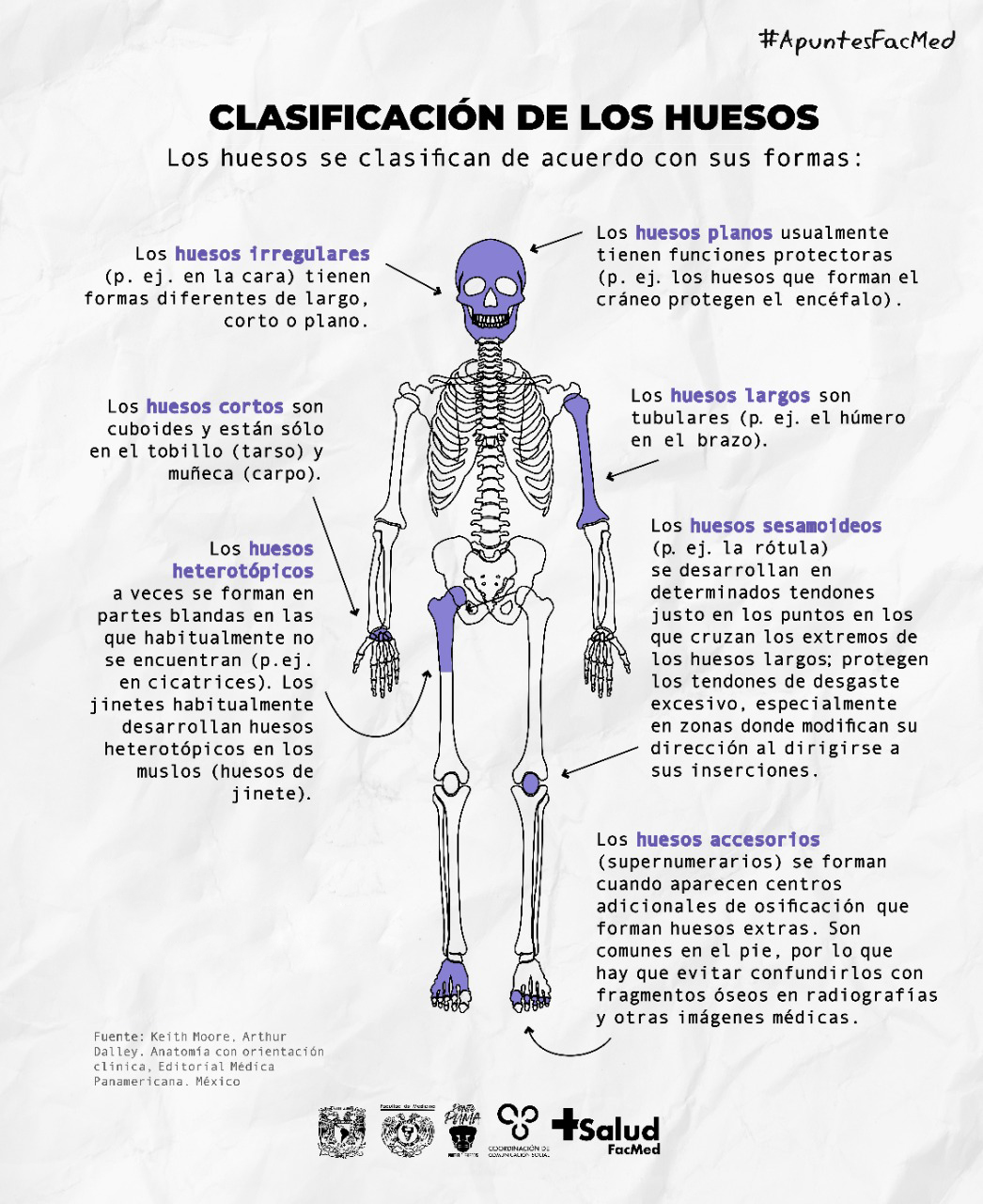 Apuntes FacMed 2 Salud FacMed