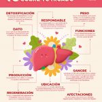 10 Datos que debes saber sobre tu hígado