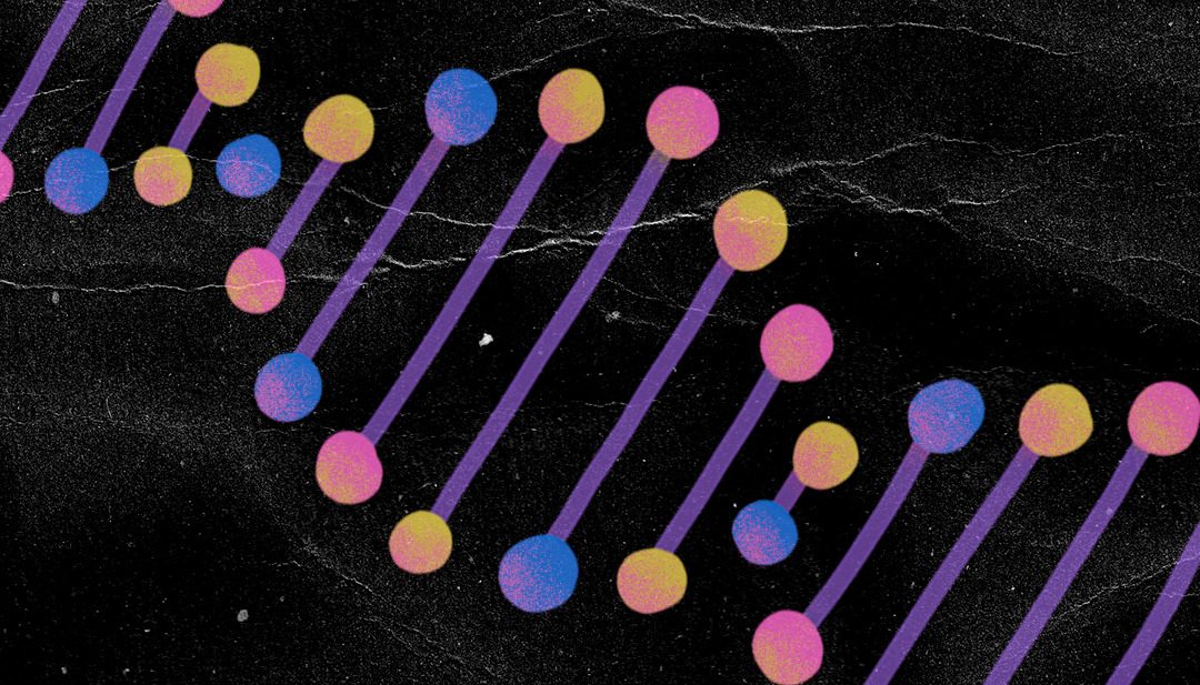¿Qué son el ADN y el genoma?