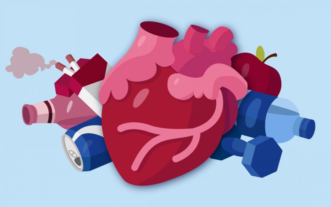 ¿Qué son las enfermedades cardiovasculares?