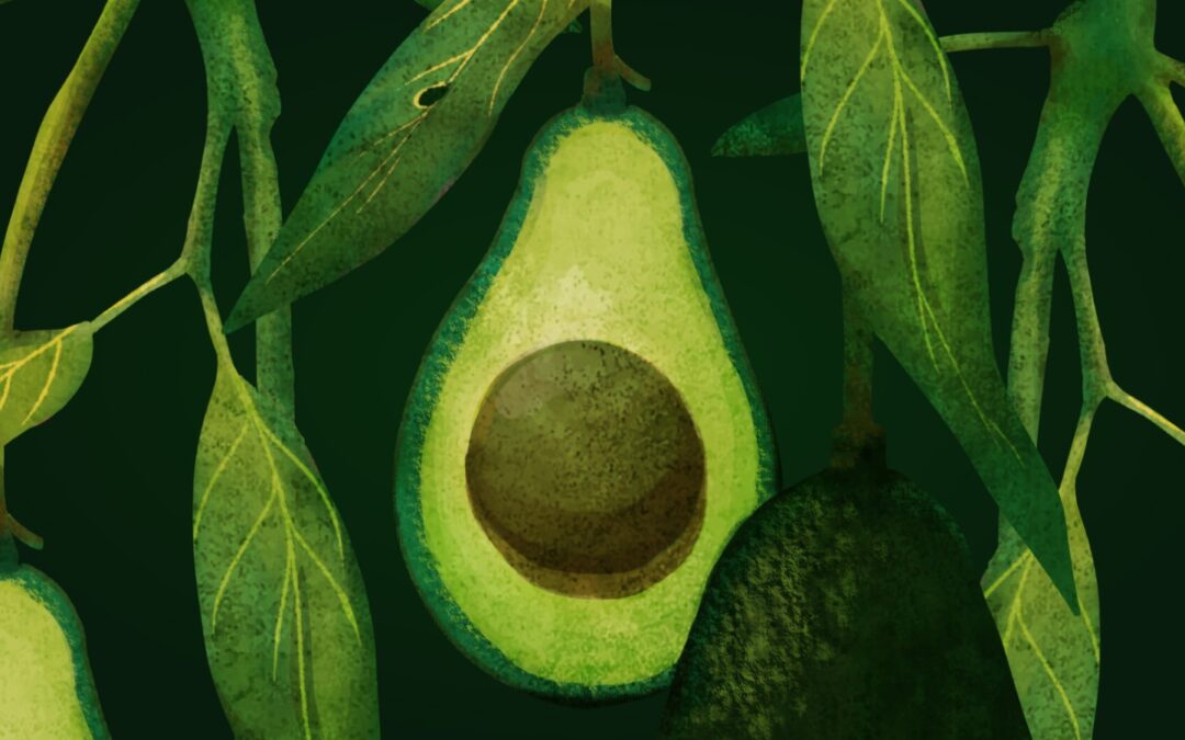 El aguacate: un tesoro nutricional