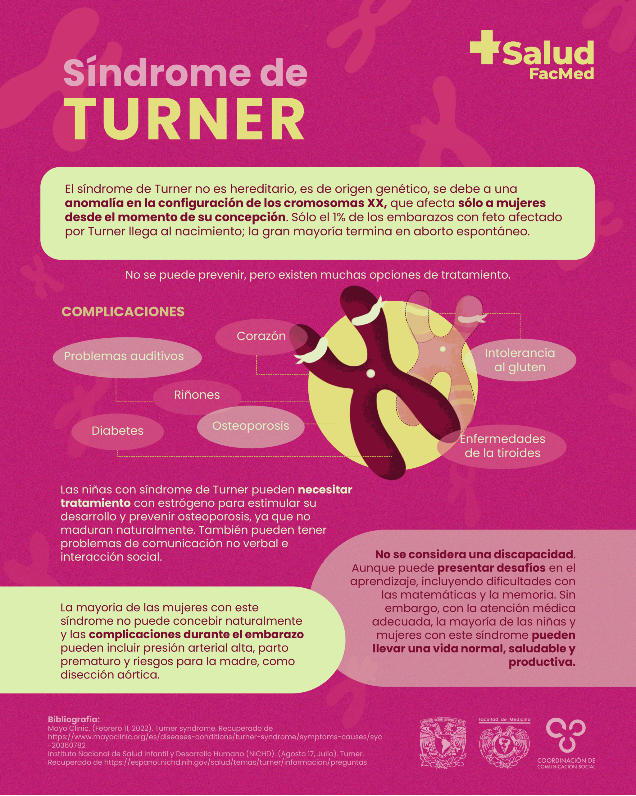 Turner_infografia_Mesa de trabajo 1