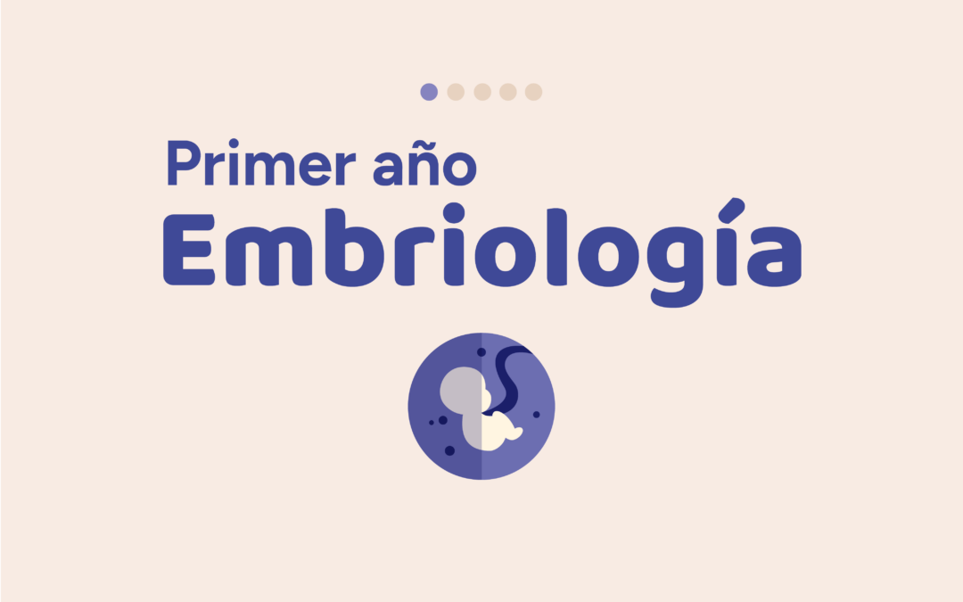 Primer Año Embriología