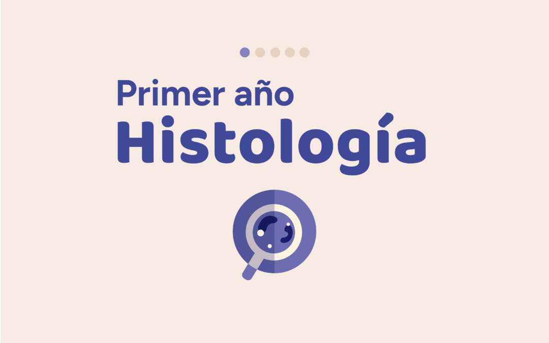 Primer Año Histología