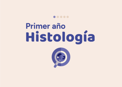Primer Año Histología