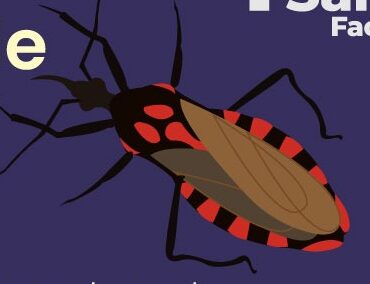 Enfermedad de Chagas